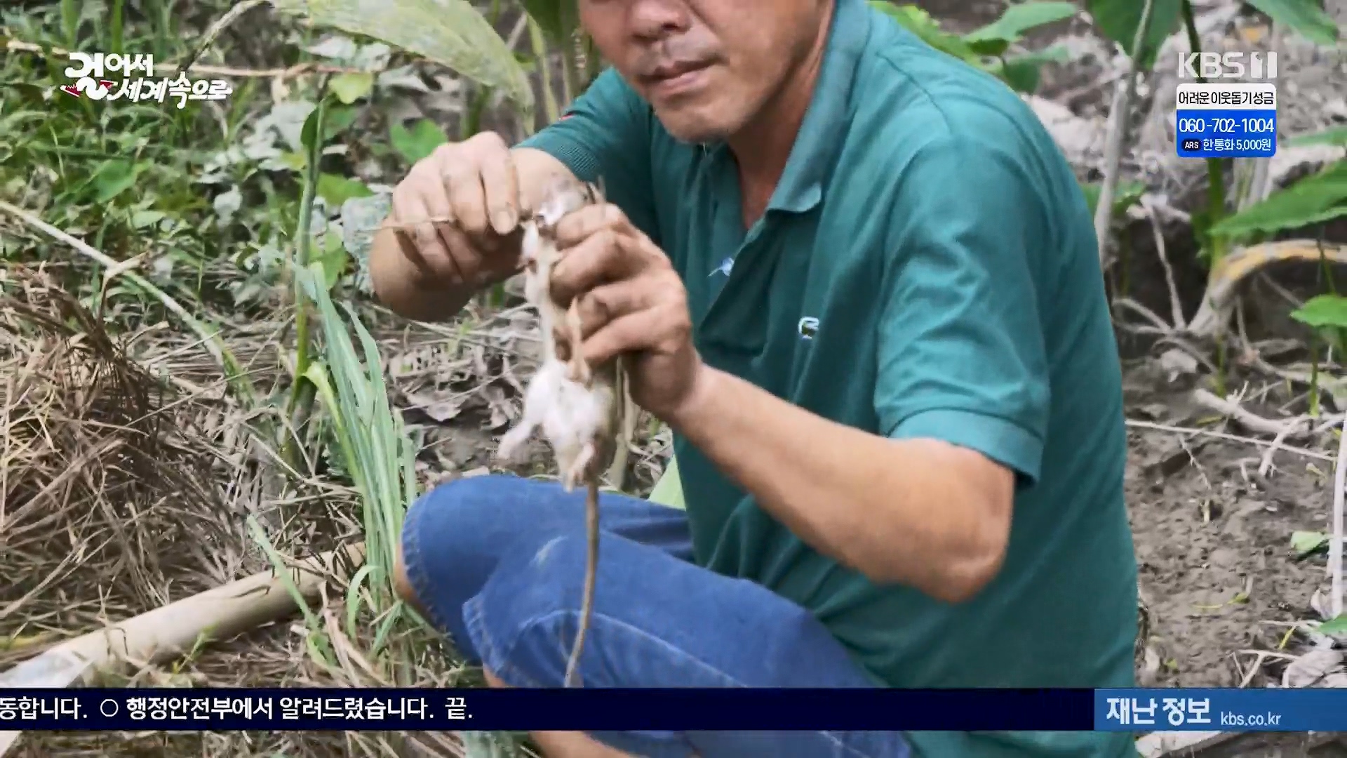 걸어서 세계속으로.E826.240120p.H264-F1RST.mp4_20240716_202116.781.jpg
