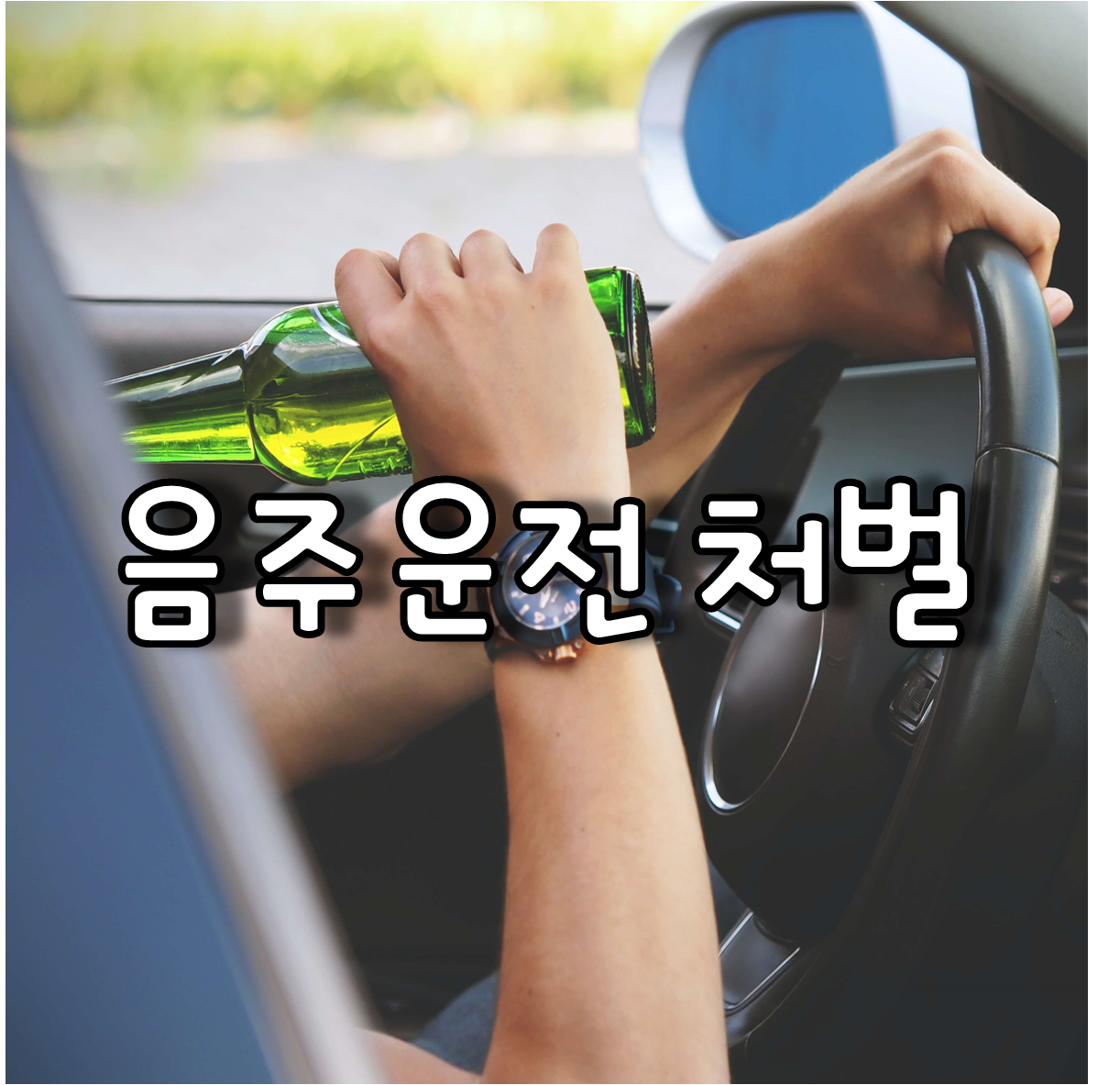  도로교통법 위반한 음주운전 면허취소와 벌금