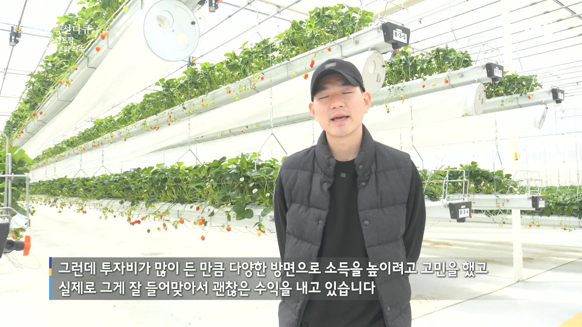 일요 특선 다큐멘터리.E348.240804p.H264-F1RST.mp4_20240805_195644.197.jpg