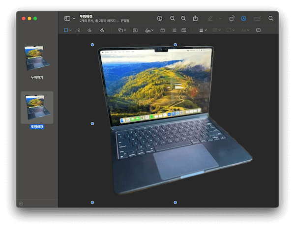 누끼 딴 이미지를 선택+복사하여, 투명 배경 이미지로 가서 캔버스를 클릭하고 붙여넣기 하자.