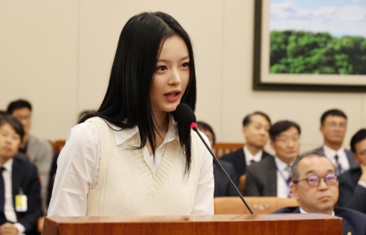 뉴진스 하니 국정감사 증언 이미지