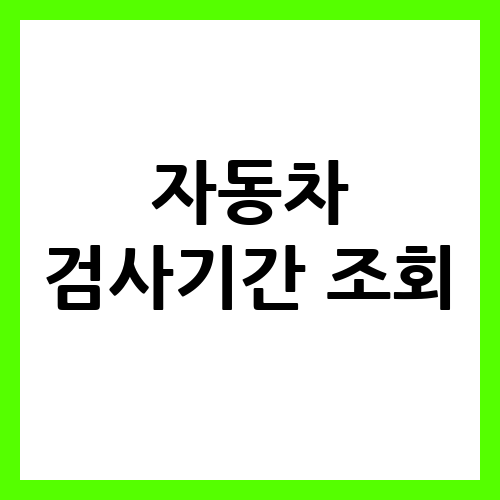 자동차 검사기간 조회