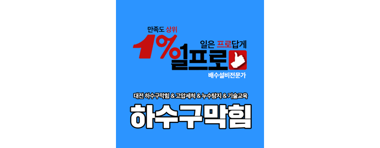 대전 서구 하수구