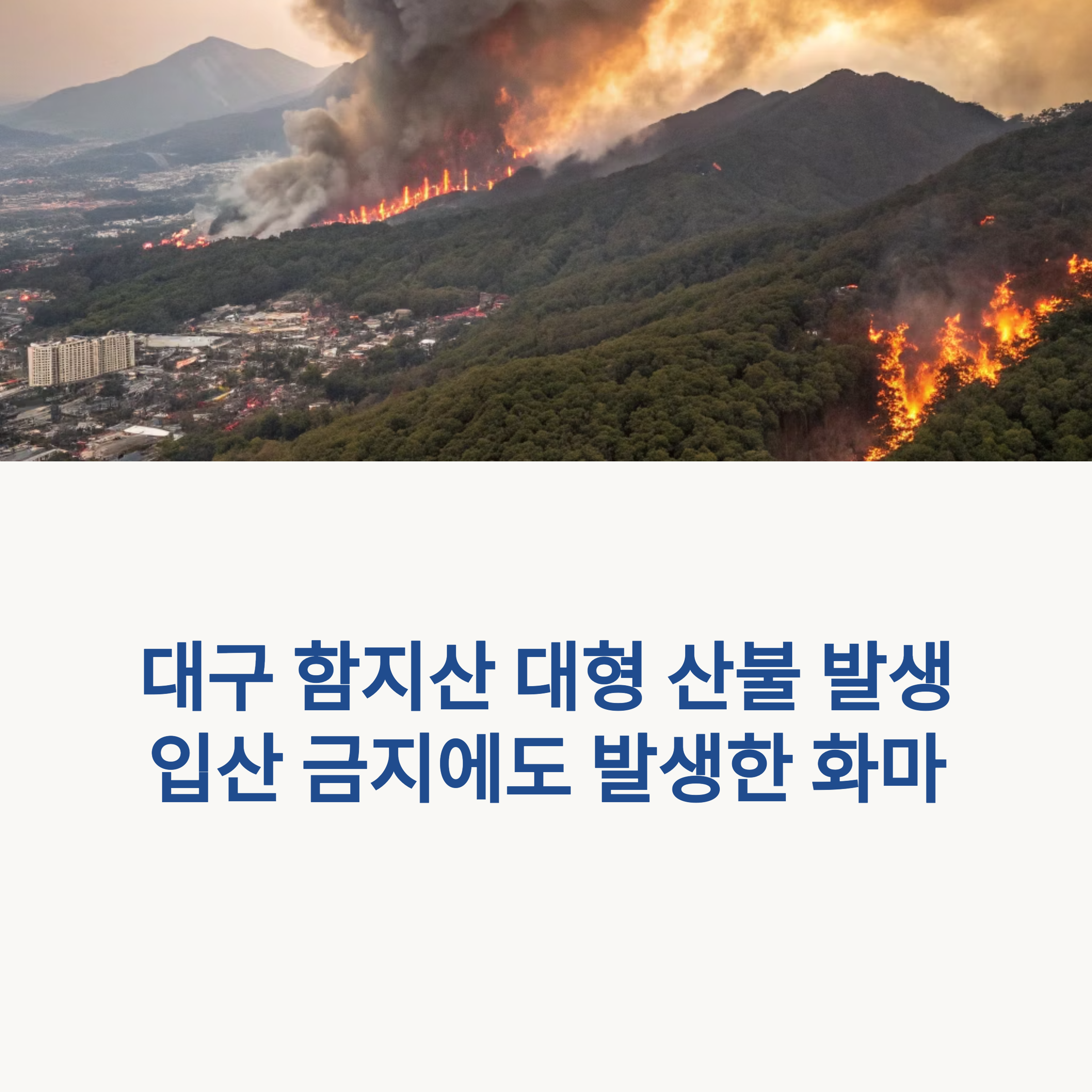 대구 함지산 산불 입산 금지에도 발생한 화마,원인은? 썸네일