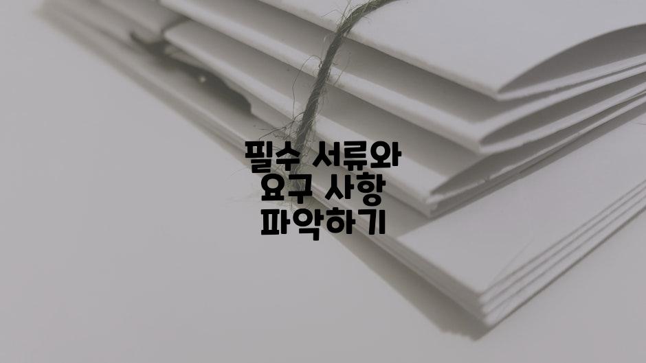 필수 서류와 요구 사항 파악하기