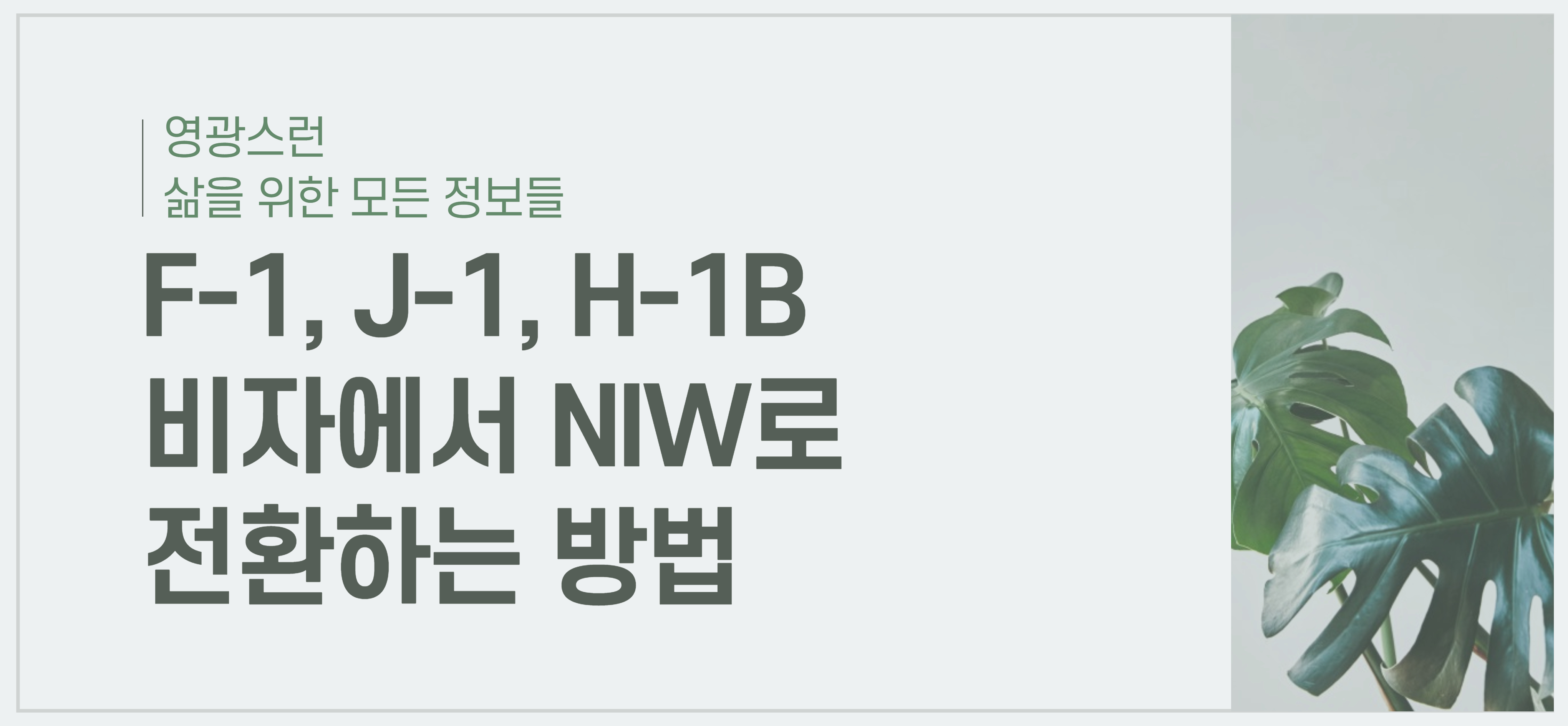 F-1, J-1, H-1B 비자에서 NIW로 전환하는 방법