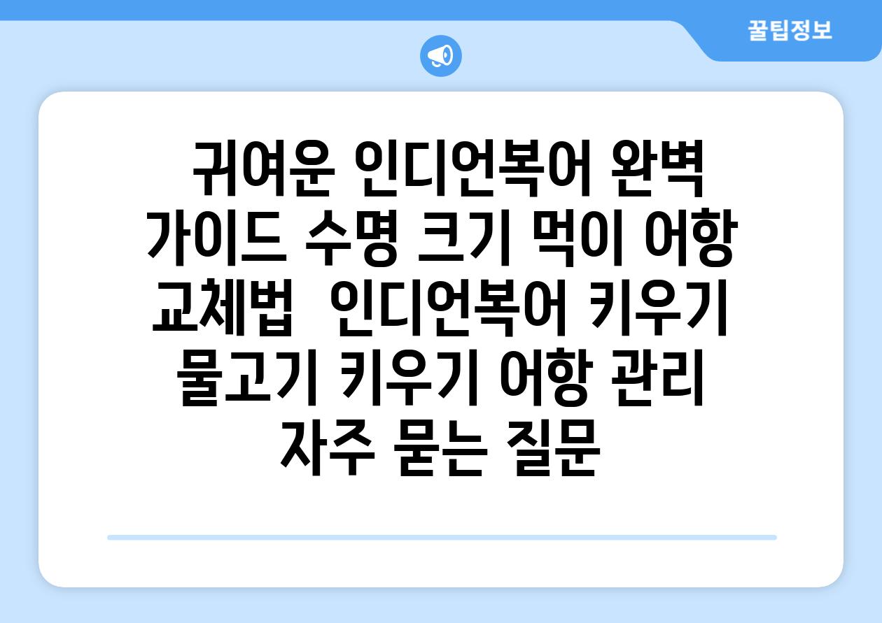 ## 귀여운 인디언복어 완벽 가이드| 수명, 크기, 먹이, 어항 교체법 | 인디언복어 키우기, 물고기 키우기, 어항 관리