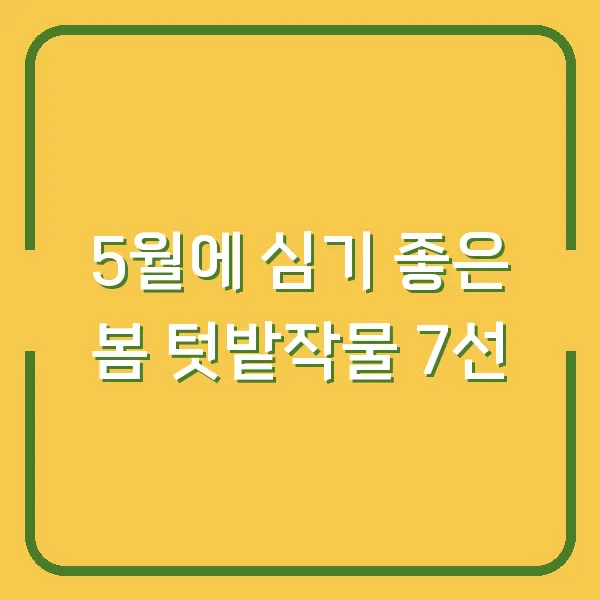 5월에 심기 좋은 봄 텃밭작물 7선