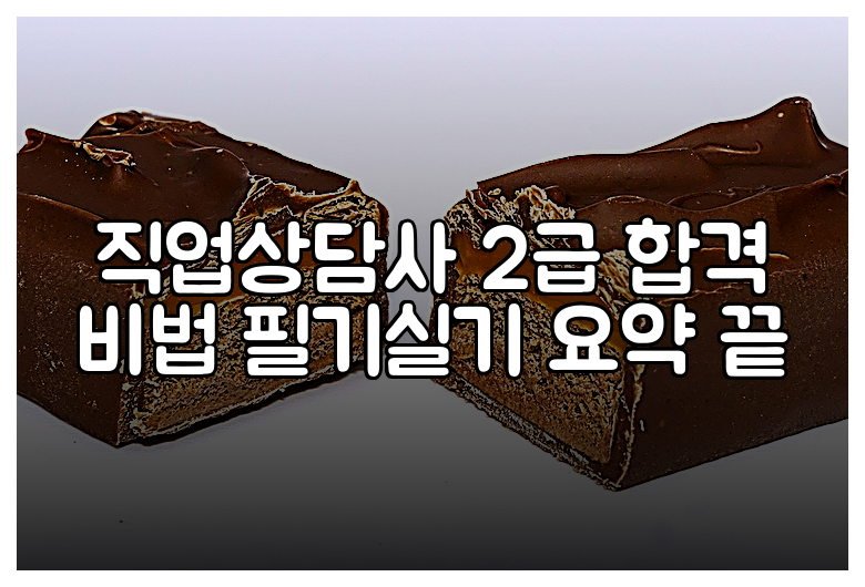 직업상담사 2급 합격 비법 필기실기 요약 끝