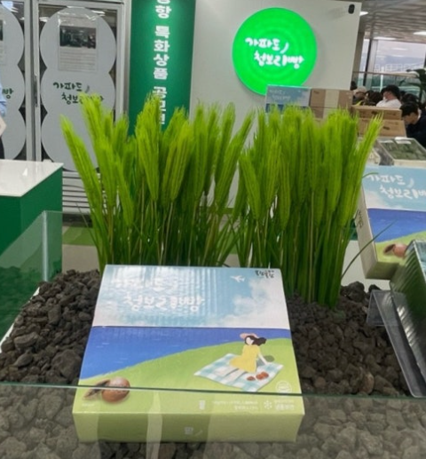 제주공항 청보리빵 선물용