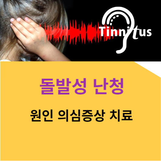 돌발성 난청 원인 증상 치료