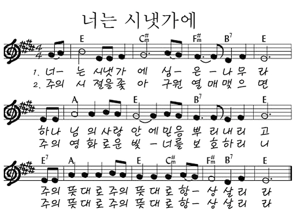 예수전도단 화요모임(YWAM WORSHIP) - 너는 시냇가에 심은 나무라 악보