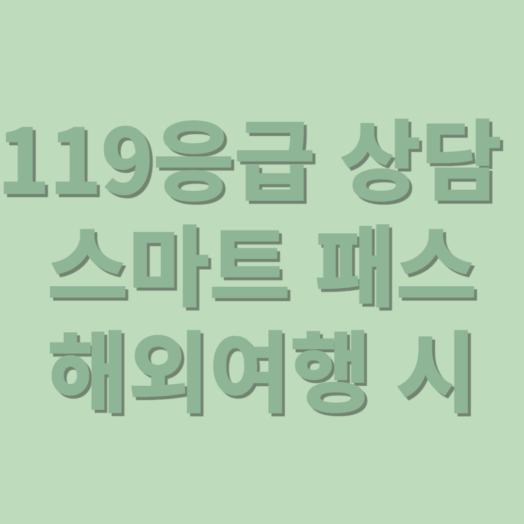 해외 여행 시 119응급 상담 및 스마트 패스,카카오톡 플러스, 응급의학전문의상담, 응급처치법, 현지약품구입처 및 복용법,여행국의료기관이용 방법, 환자 국내 이송 방법