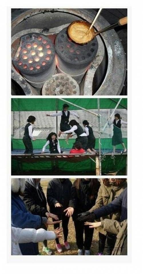  한국인의 고향 조사방법