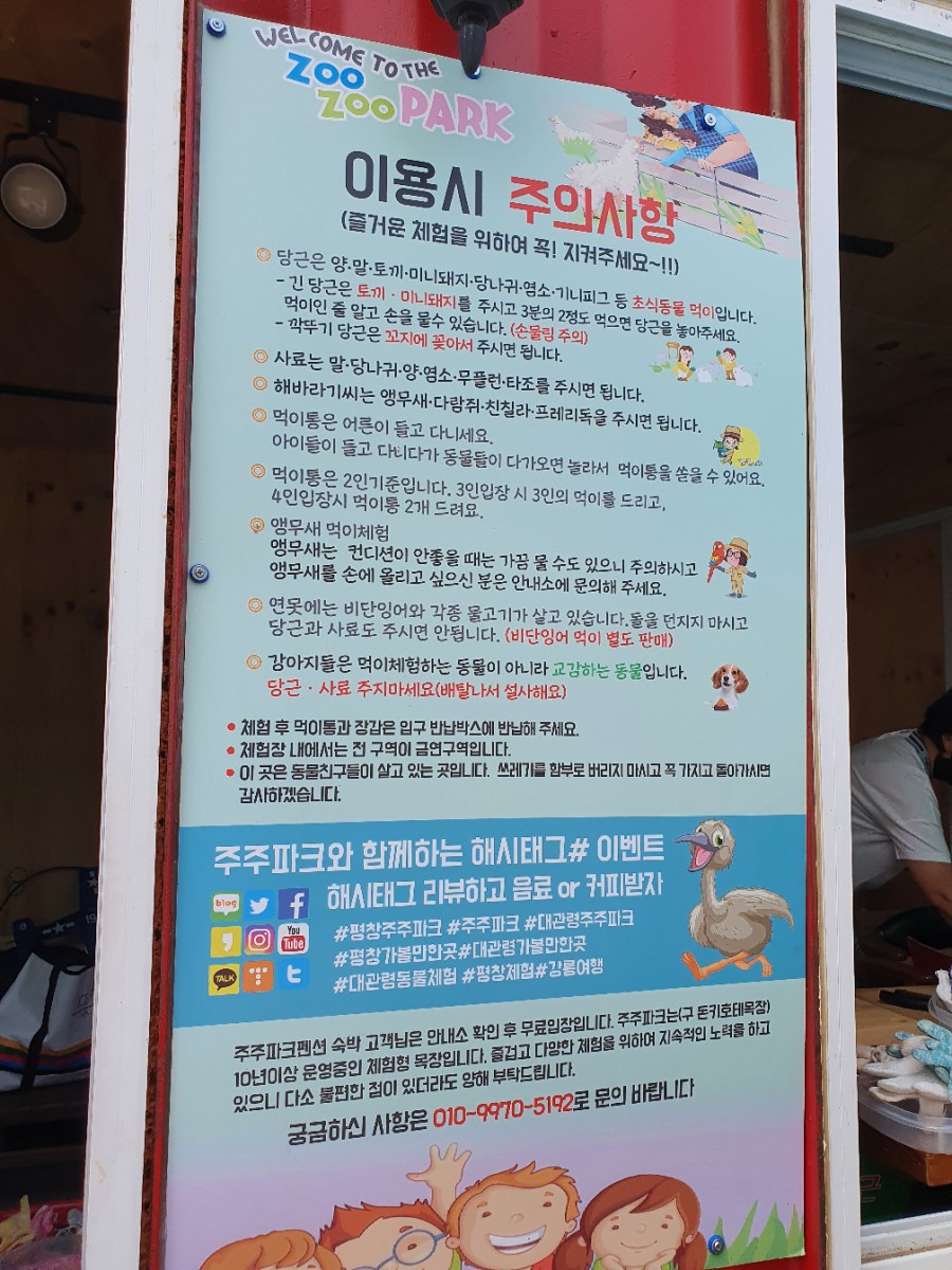 대관령주주파크 이미지