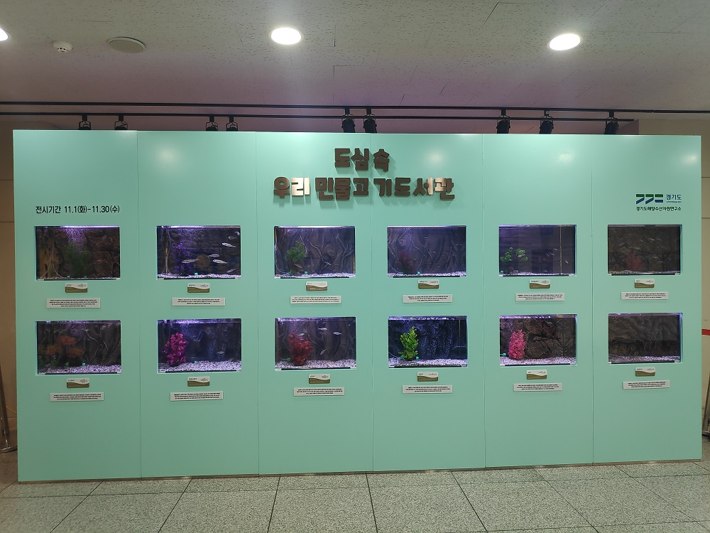의정부민물고기 이미지