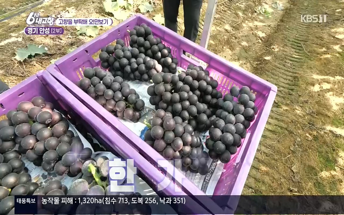 6시 내고향.E7611.220907p.H264-F1RST.mp4_20220908_204251.527.jpg