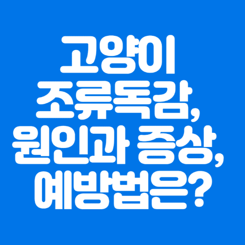 고양이조류독감&#44;원인과증상&#44;예방법은?-파란바탕-하얀글씨-썸네일이미지