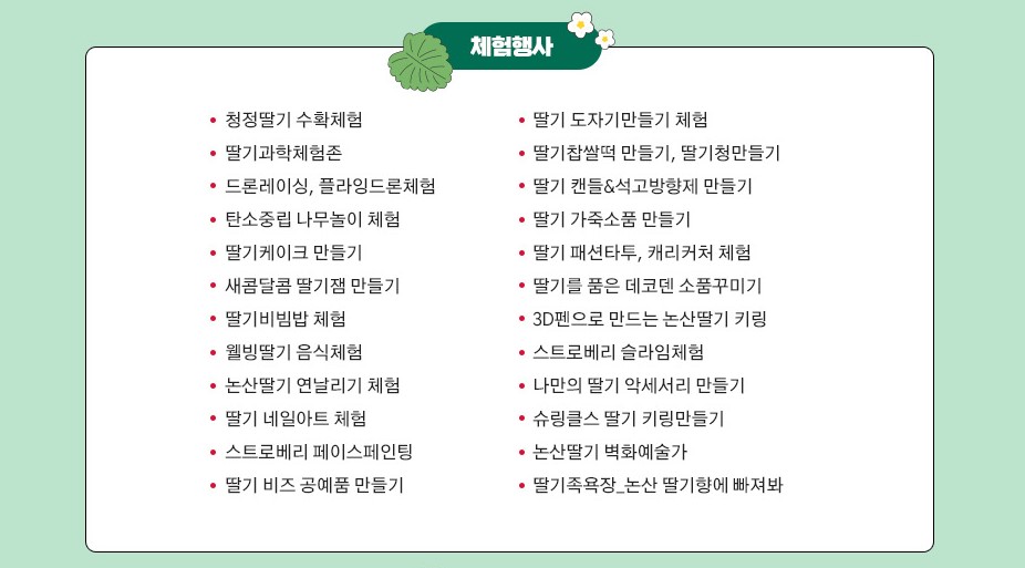 논산딸기축제 기본정보, 행사내용