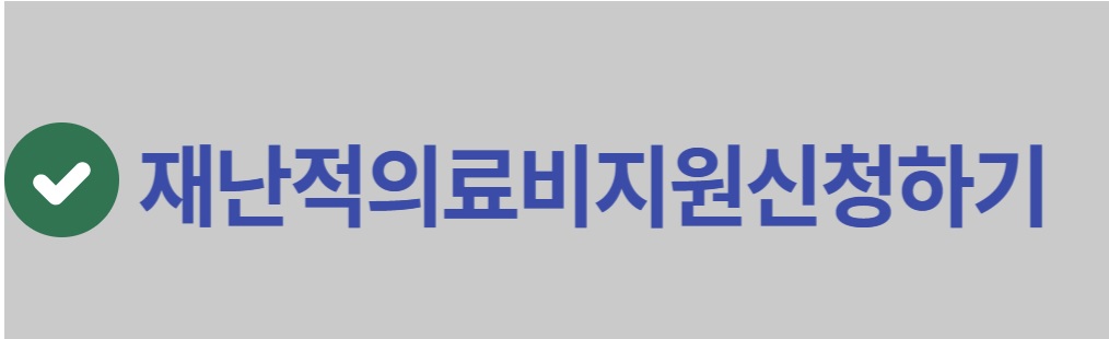  재난적 의료비 지원 사업 대상. 신청 방법