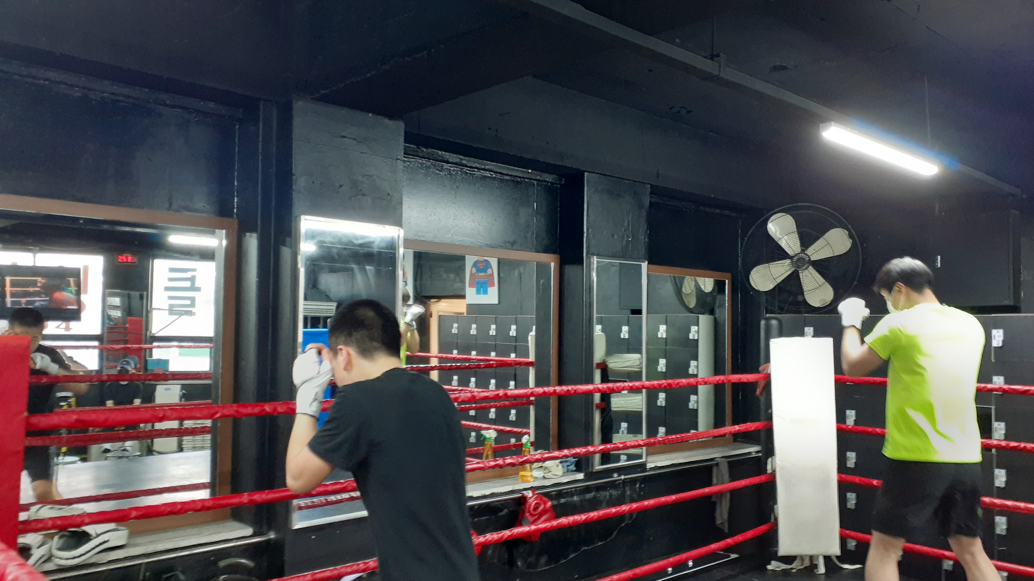 27. 3. 23. 양천구 복싱 대한복싱체육관 신정동 복싱 목동 복싱 신월동 복싱 경찰 무도 자격증 87