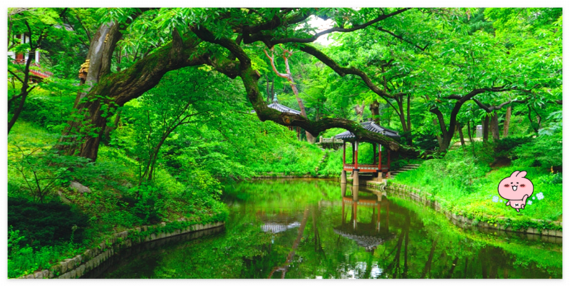 나무가-우거지고-연못이-있는-비원의-정원-산책길-풍경