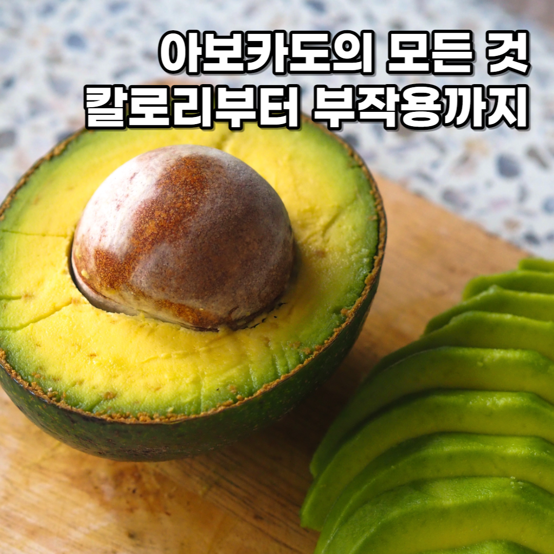아보카도 아보카도 오일 아보카도 칼로리 아보카도 효능 아보카도 영양 성분 아보카도 부작용