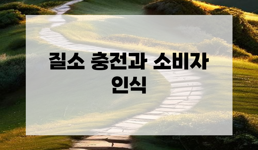 4. 질소 충전과 소비자 인식