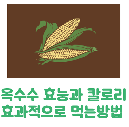  옥수수 효능과 칼로리 옥수수 효과적으로 먹는방법