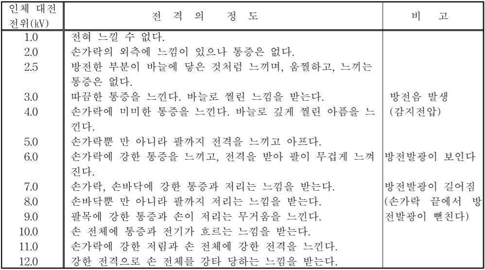 인체대전과-전격과의-관계