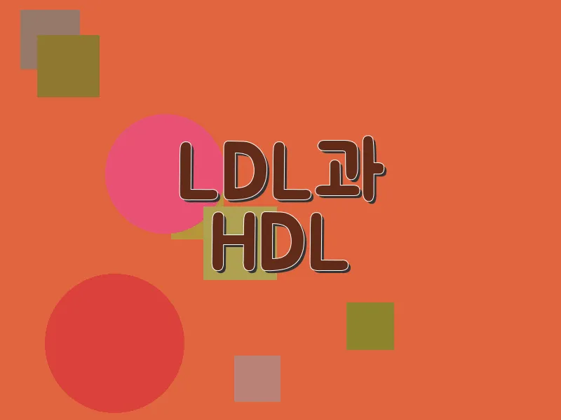LDL과 HDL