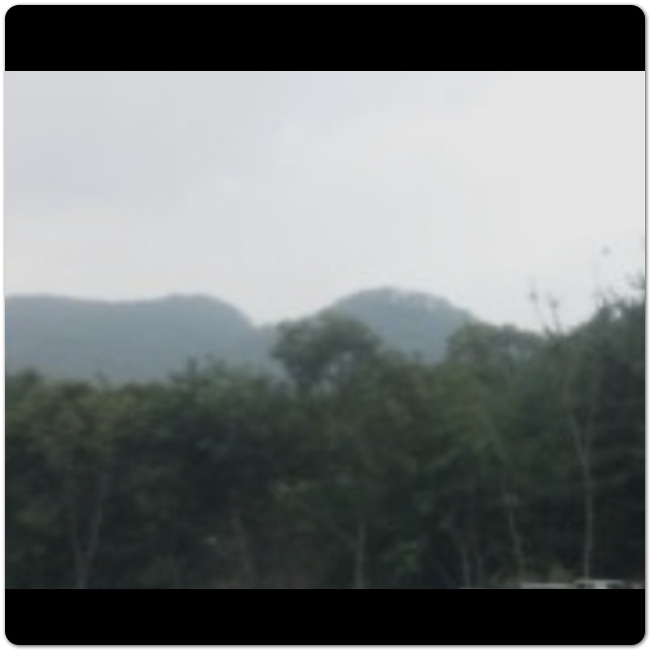 경기도 장흥 가볼만한 곳 베스트 10 10