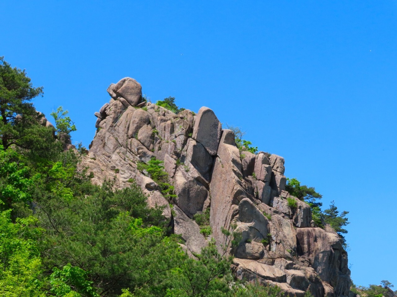 블랙야크 100+, Y출렁다리, 41