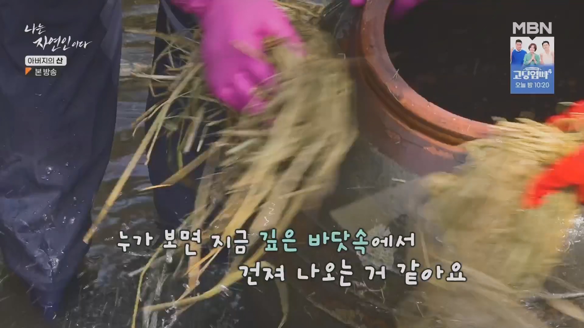 나는 자연인이다.E595.240228p.H264-F1RST.mp4_20240229_200121.885.jpg