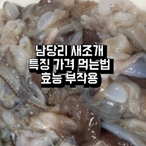 남당리-새조개-제철-가격-시세