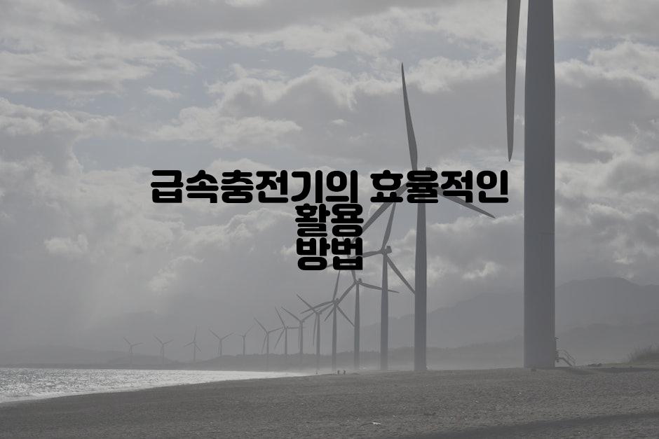 급속충전기의 효율적인 활용 방법