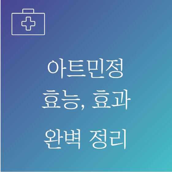 아트민정