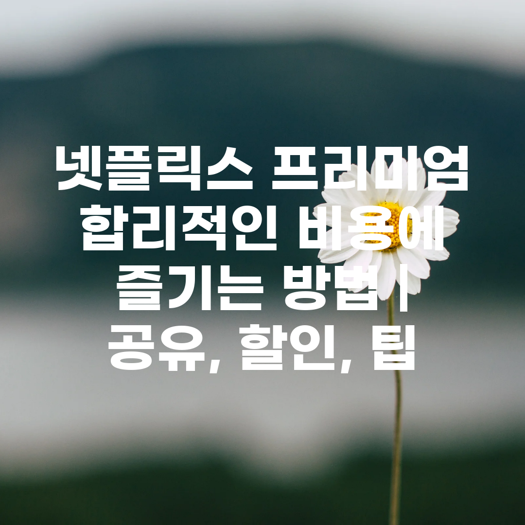 넷플릭스 프리미엄 합리적인 비용에 즐기는 방법  공유,