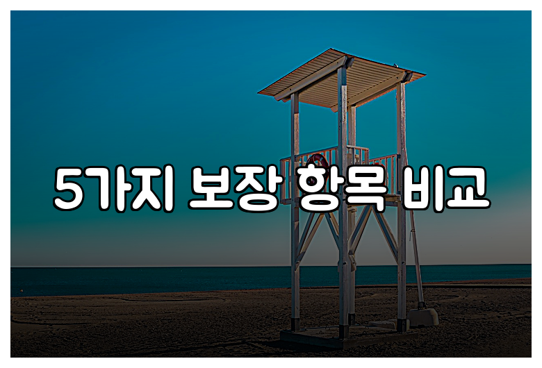5가지 보장 항목 비교