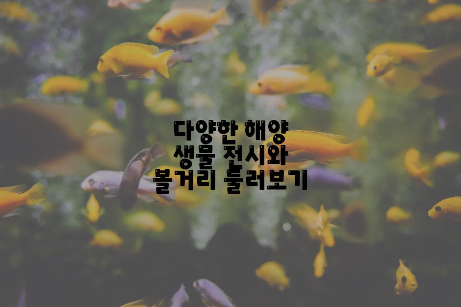 다양한 해양 생물 전시와 볼거리 둘러보기