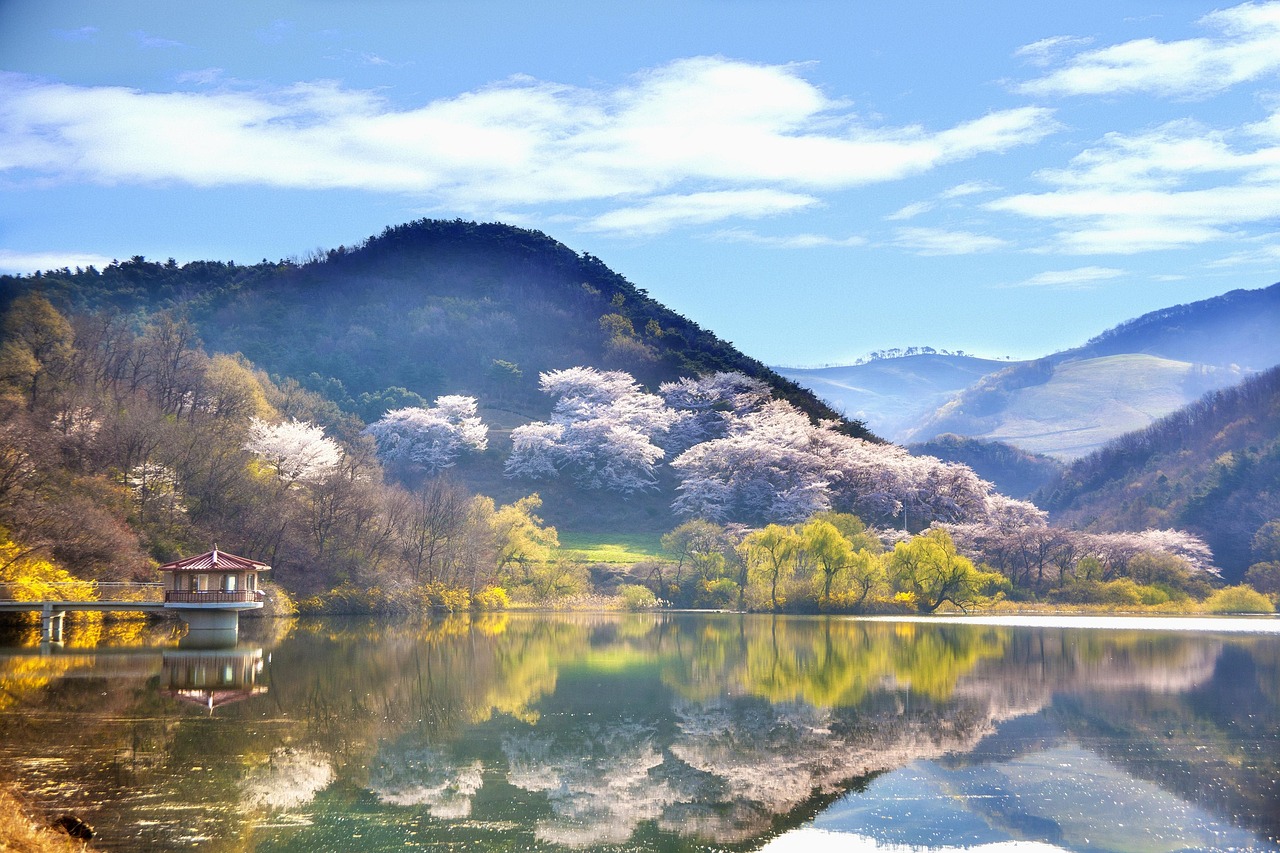 우후송산
