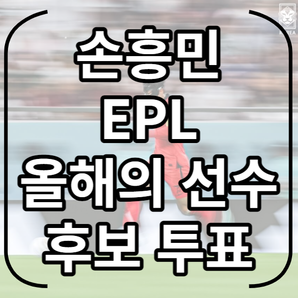 손흥민 EPL 올해의 선수 후보 투표