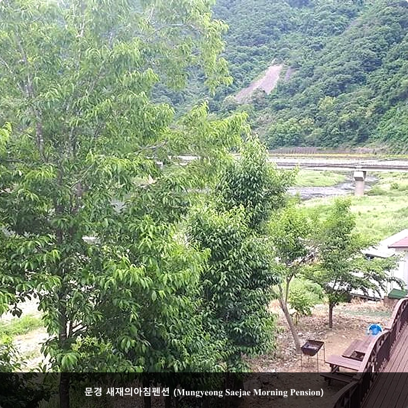 문경 새재의아침펜션 (Mungyeong Saejae Morning Pension)_2