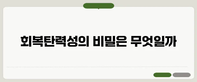 resilient 뜻과 회복탄력성 관련 표현