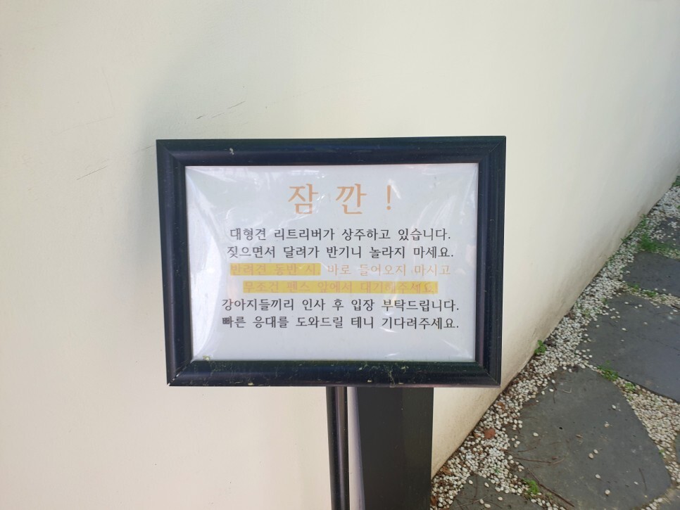 반려견과 동반입장이 가능한 한옥 카페, 텐빌리언(TEN BILLION) 후기 - 텐빌리언 카페 후기 반려견과 동반입장이 가능한 한옥 카페, 텐빌리언(TEN BILLION) 후기 - 텐빌리언 카페 후기