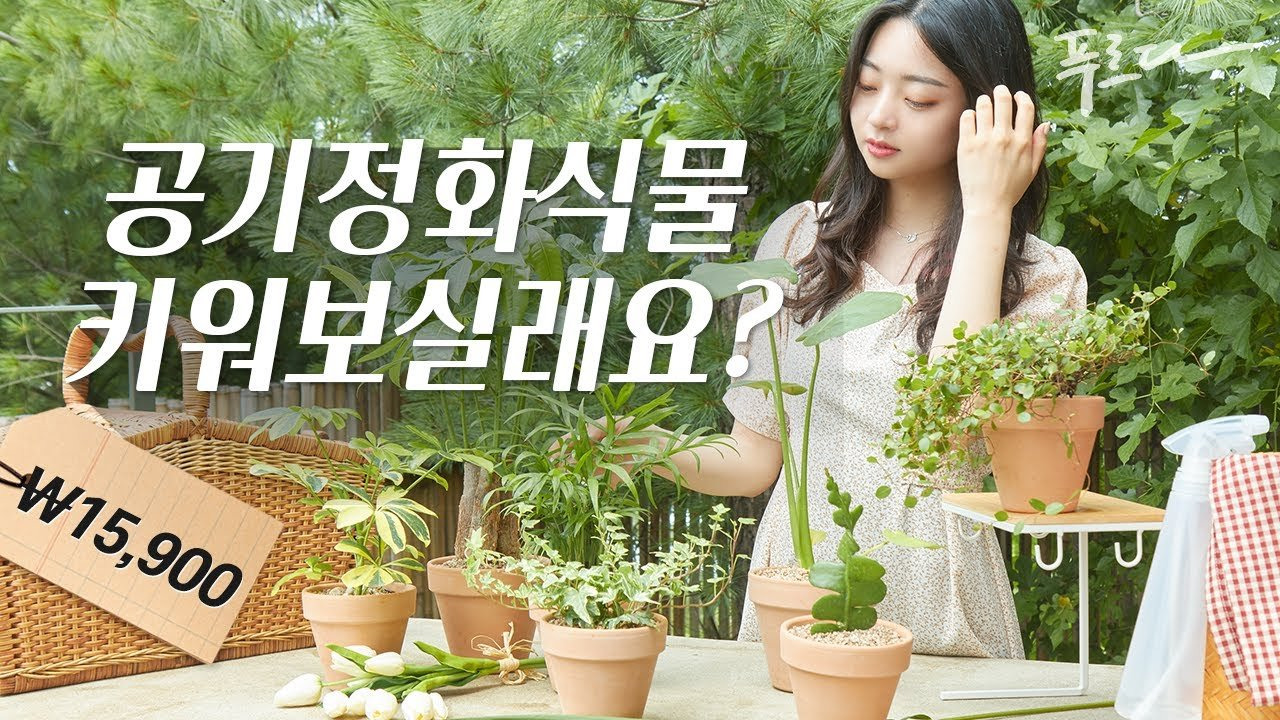 갑조네 모종시장