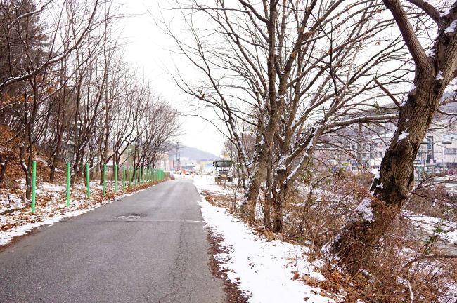 눈 녹은 마을 길&#44; 좌우에 길 따라 늘어 선 나무들 밑엔 녹지 않은 눈&#44; 하얀 하늘&#44;