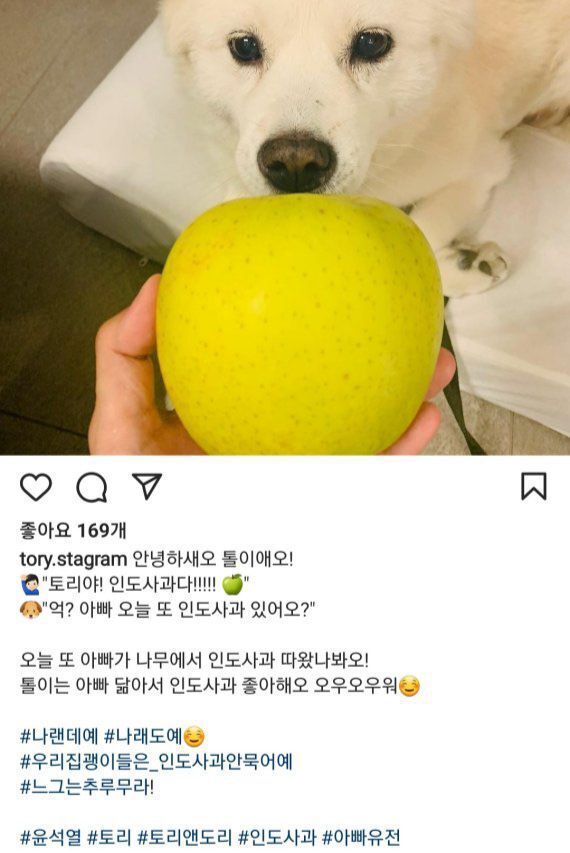   뚜뚜월드