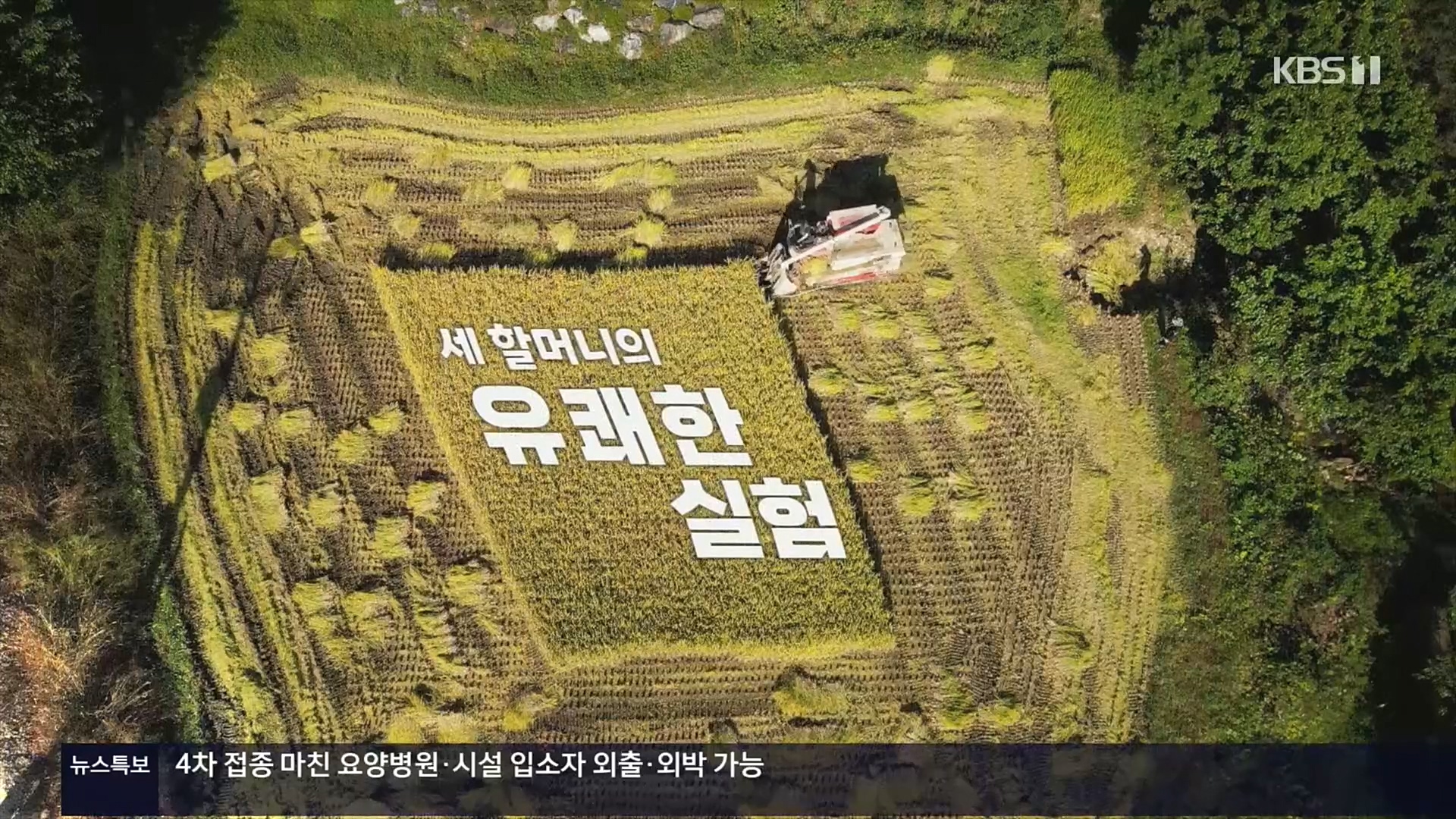 다큐 On.E166.221028p.H264-F1RST.mp4_20221031_194222.041.jpg