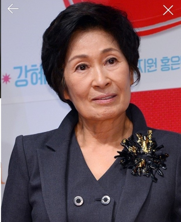 김혜자 나이 학력 남편 자녀 가족 김혜자 나이 학력 남편 자녀 가족